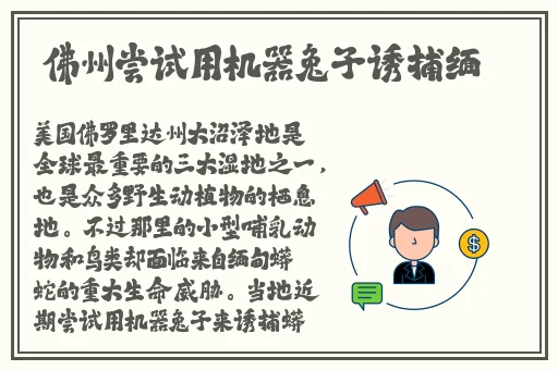 美国疯狂打扑克一叫一叫的